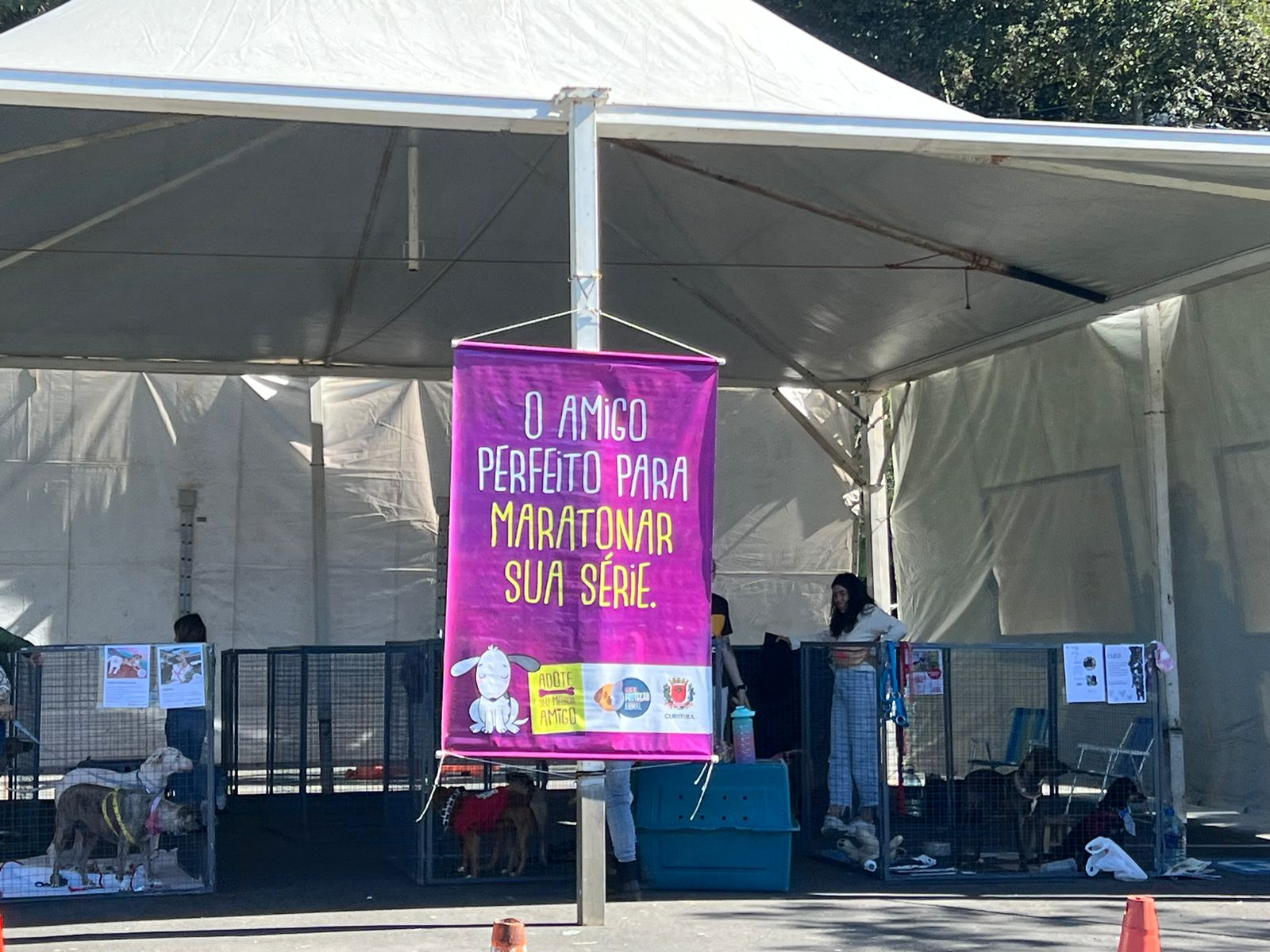 WhatsApp Image 2024-04-22 at 11.21.58.jpeg